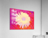 Abstract Vibrant Yellow Daisy Flower  Acrylic Print