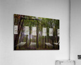 Abbey Woods Acrylic Print