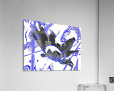  Abstract Wild Daisy Flower Acrylic Print