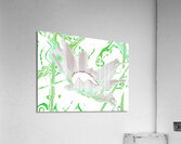 Abstract Green and White Daisy Acrylic Print