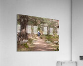  A Walk in Nature in the Scottish Highlands Acrylic Print
