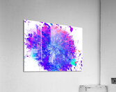 Abstract Bright Neon Colourful Dandelion Seeds Close Up Acrylic Print