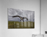 10487 Landing Gear Acrylic Print