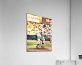 Sunny Day Swing Acrylic Print