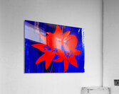 Bright Coloured Abstract  Trio of Lilies Acrylic Print