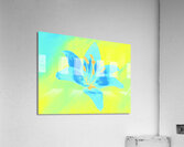 Abstract Vibrant Blue and Yellow Single Lily Flower Acrylic Print