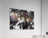  Abstract Lochan Tree Reflections in the Scottish Highlands Acrylic Print