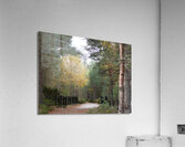  The Bridge in the Woods to the Scottish Highlands Acrylic Print
