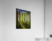 Unfolding - Maine Botanical Wall Art Acrylic Print