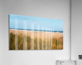 Wildwood Beach Over the Sand Dunes Acrylic Print