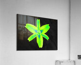  Abstract  Stunning Glowing Green Lily Acrylic Print