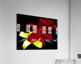 Cool Contemporary Dark Lily Flowers Acrylic Print