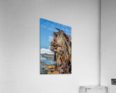 Shipwreck Acrylic Print