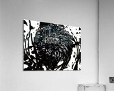  Abstract Swirling Black and White Woodland Plant Acrylic Print