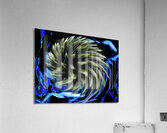 Coolest Abstract Swirling Woodland Flower  Acrylic Print