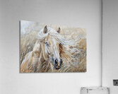 Sassafras Windy Palomino Print Acrylic Print