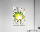 Abstract Impressionistic Illuminated Daisy Flower Acrylic Print
