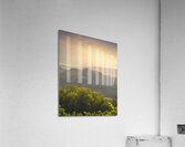 Langhe vineyards landscape and Castiglione Falletto village Acrylic Print