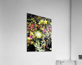 Abstract Chaotic Green Daisy Flower  Acrylic Print