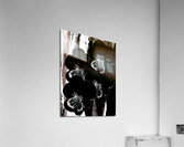 Abstract Contrasting Pansy Bouquet  Acrylic Print