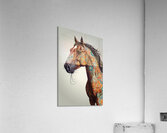 Default a whimsical degital illustration of a rea Acrylic Print