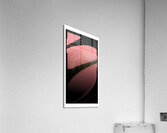 15 Acrylic Print