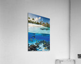 THE MALDIVES Acrylic Print