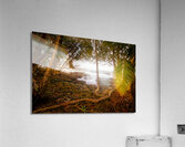 Meandering through the Costa Rica Jungle Beach  Acrylic Print