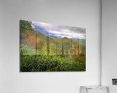 Costa Rica Colors of the Rainforest  Acrylic Print