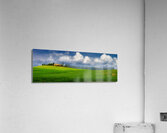 Viale di Cipressi Acrylic Print