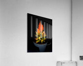 Summer Plant in a Tub  Acrylic Print