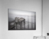 Cahuita Beach Driftwood White on White  Acrylic Print