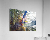 Costa Rica Monkey Finger Licking Good  Acrylic Print