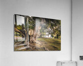 McClellanville Deerhead Live Oak Tree Acrylic Print