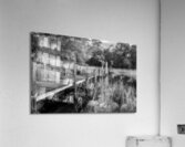 McClellanville Old Dock in Black and White Acrylic Print
