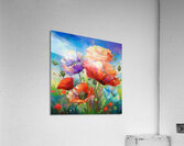 Poppies Come in More than Red Acrylic Print