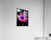  Abstract Garden Summer Daisy Flower Acrylic Print