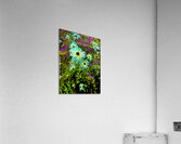 Abstract Vibrant Daises in the Garden Acrylic Print