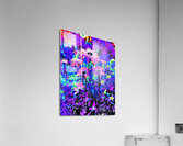 Abstract Surreal Daises in the Garden Acrylic Print