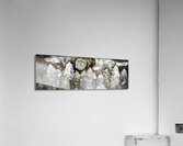 The Forest Drenched in Silver Moonlight Acrylic Print