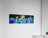 The Night Forest Acrylic Print