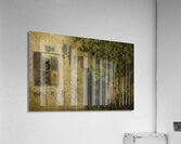Creepy Shed in Shelby Acrylic Print