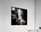 Ethereal Majesty Acrylic Print