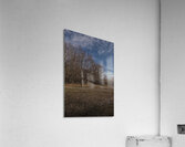 2024 Portfolio 3 Acrylic Print