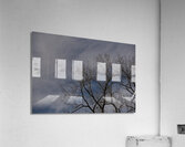 2024 Portfolio 5 Acrylic Print