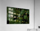 2024 Portfolio 16 Acrylic Print