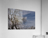 2024 Portfolio 24 Acrylic Print