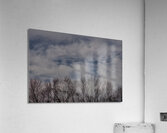 2024 Portfolio 27 Acrylic Print