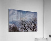 2024 Portfolio 1 Acrylic Print