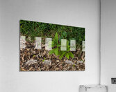 2024 Portfolio 19 Acrylic Print